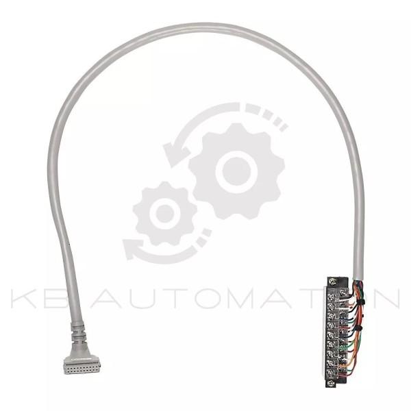 1492-CAB025E69-photo