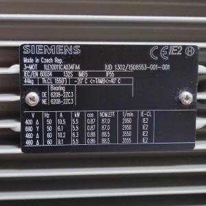 1LE1001-1CA03-4FA4-photo