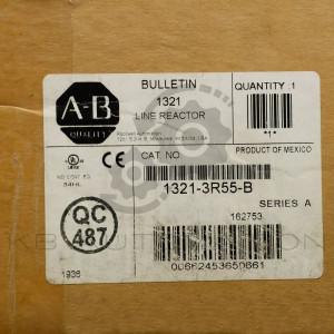 1321-3R55-B-photo